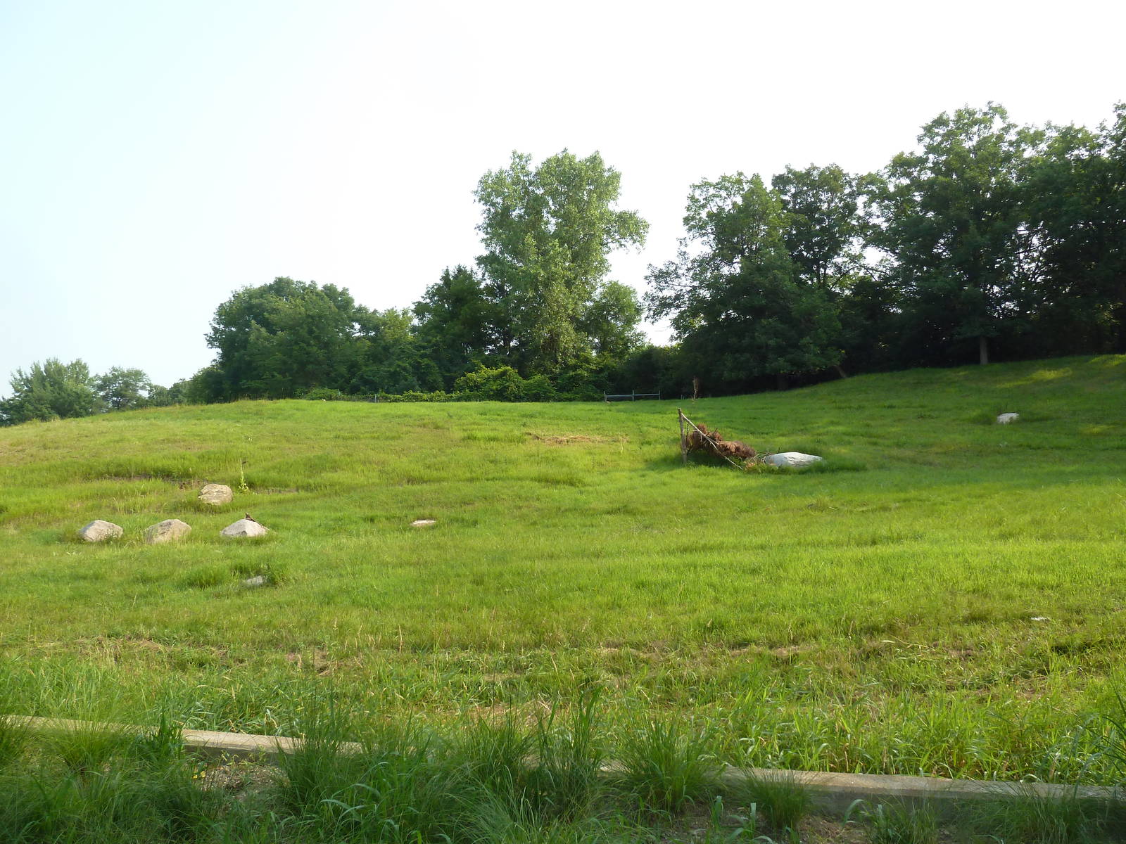 Northern Trail - Goitered Gazelle Exhibit