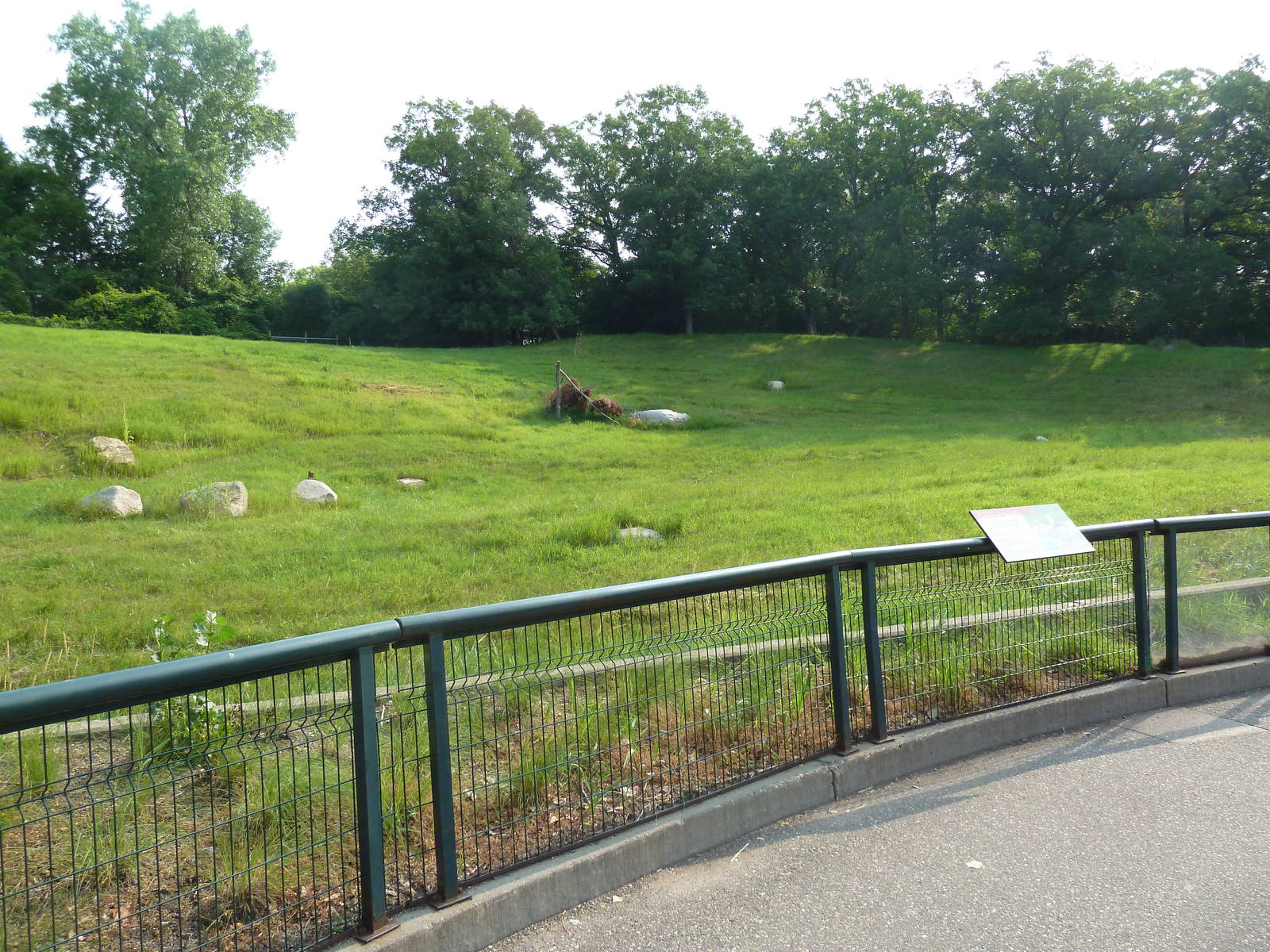Northern Trail - Goitered Gazelle Exhibit