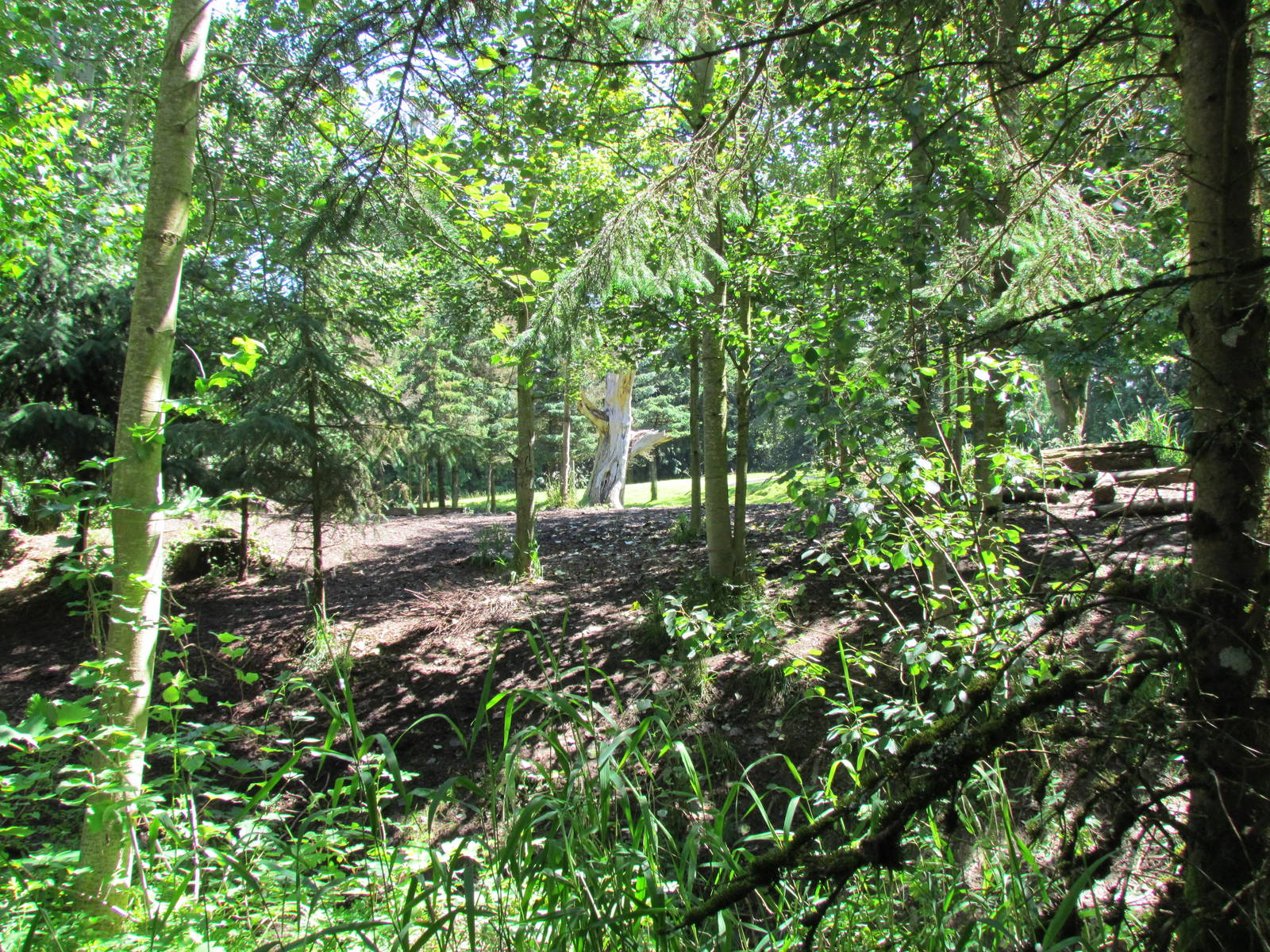 Northern Trail - Gray Wolf Exhibit