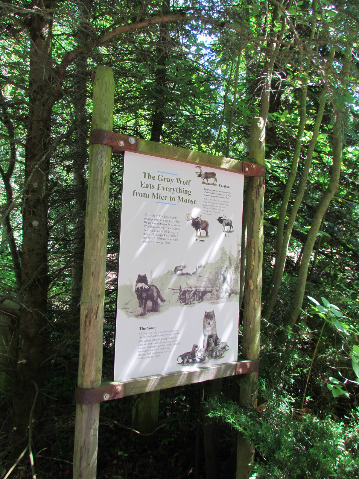 Northern Trail - Gray Wolf Signage