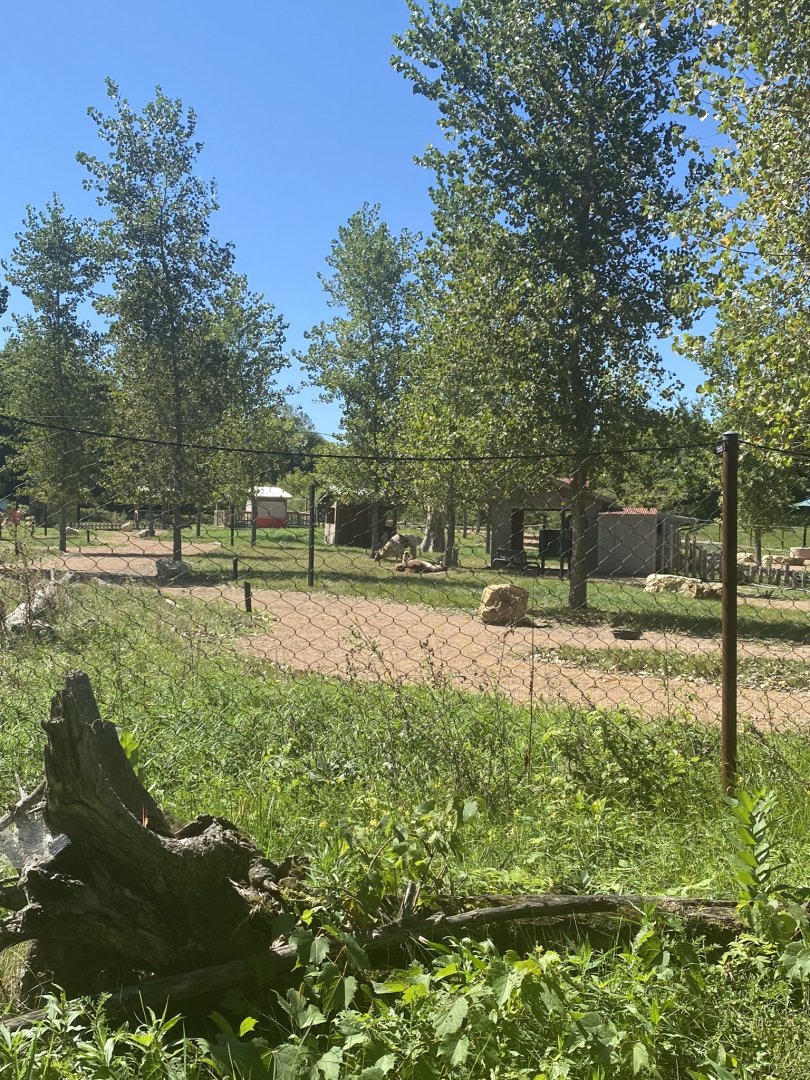 Northern trail- lama trek