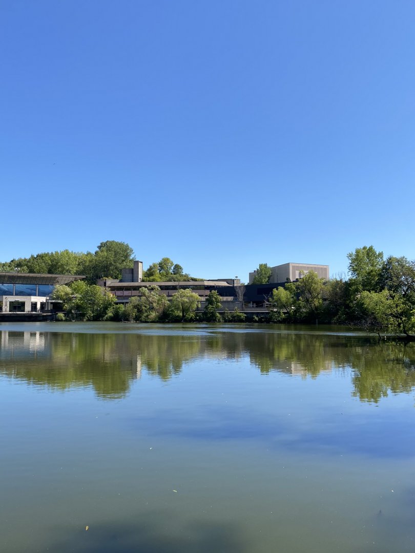 Northern trail- main lake & trumpeter swan exhibit