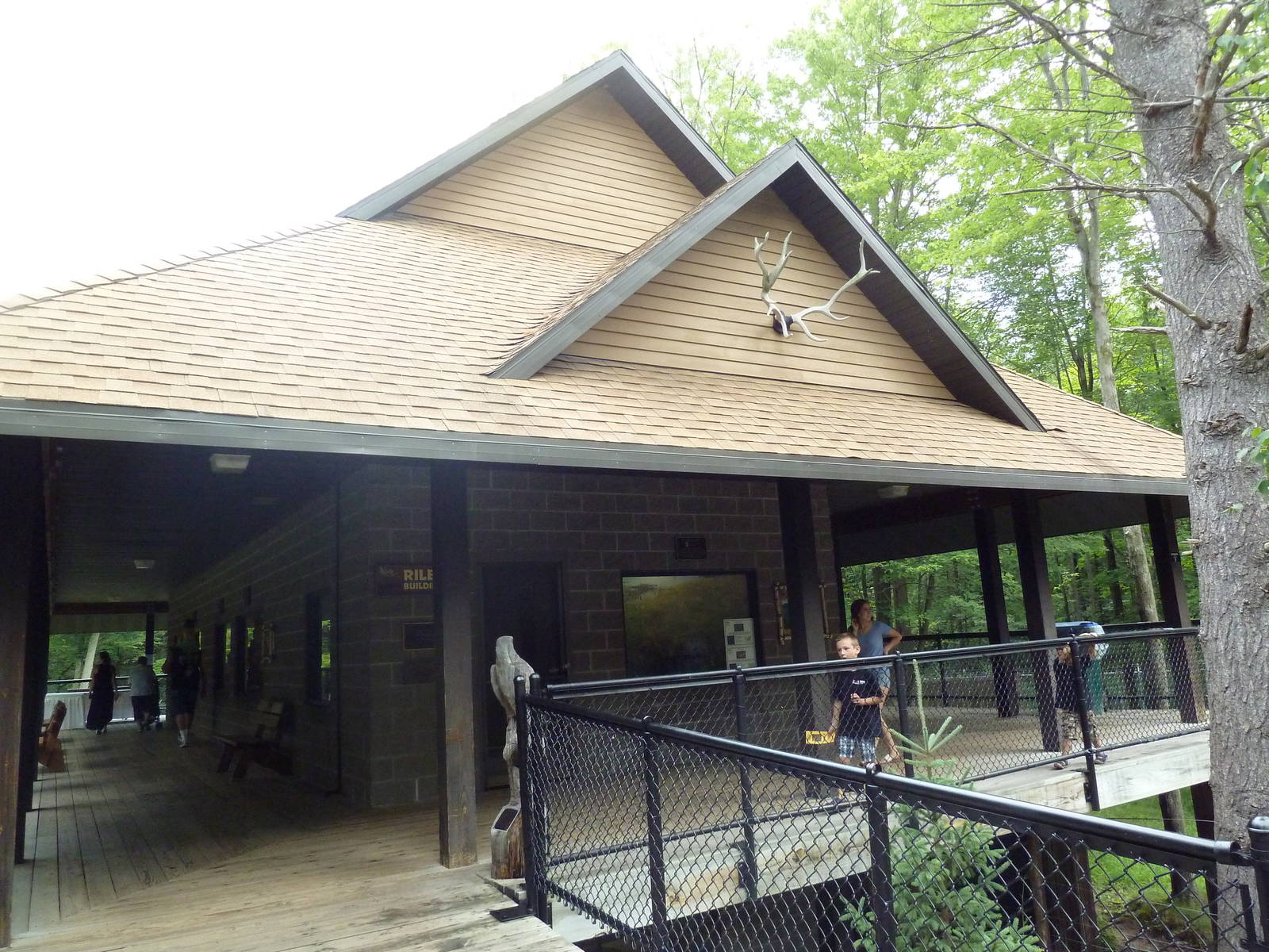 Northern Trail - Moose Exhibit Viewing Platform