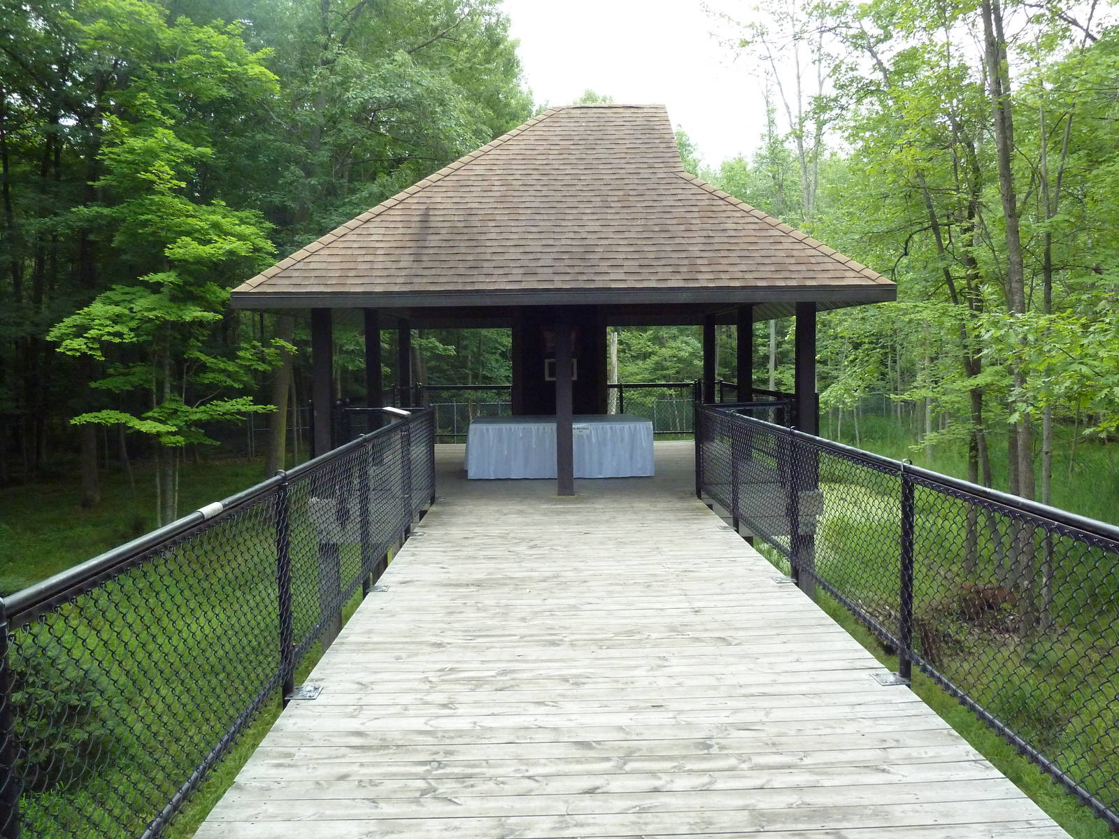 Northern Trail - Moose Exhibit Viewing Platform