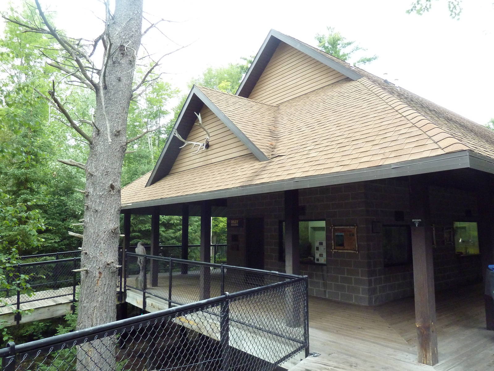 Northern Trail - Moose Exhibit Viewing Platform