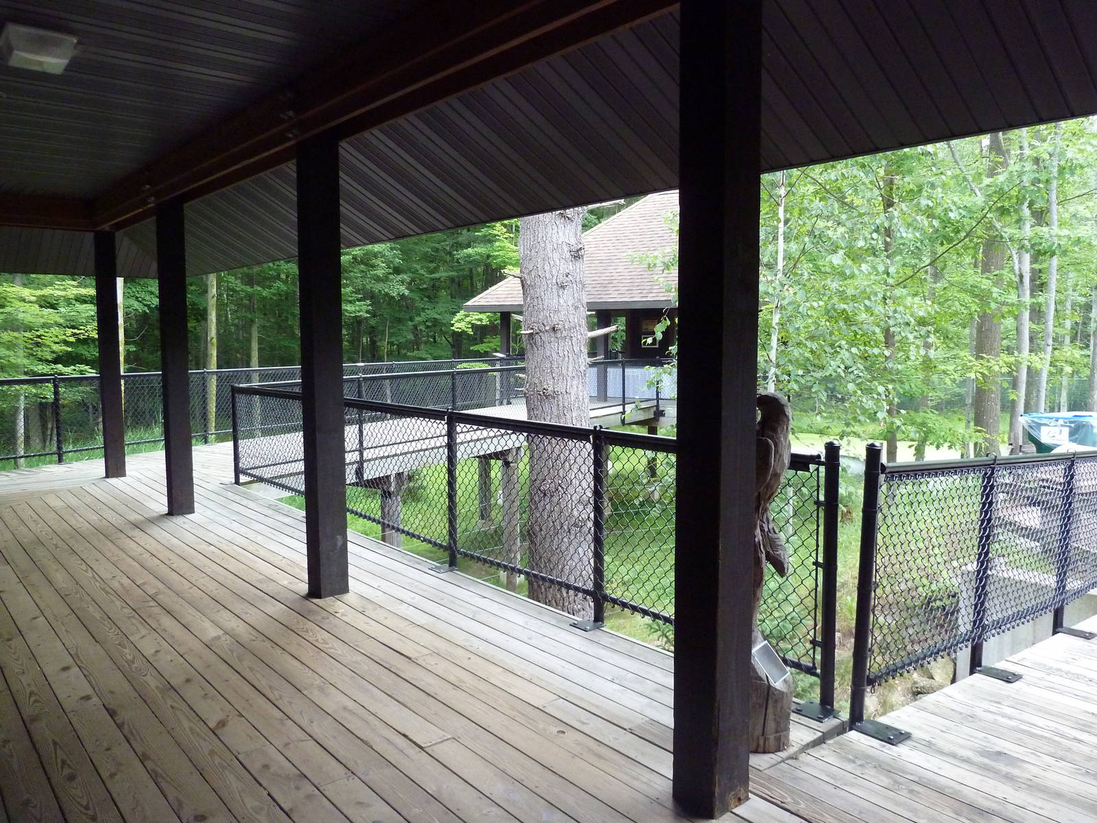 Northern Trail - Moose Exhibit Viewing Platform