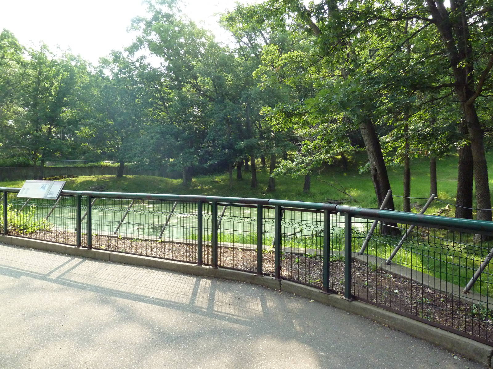 Northern Trail - Moose Exhibit