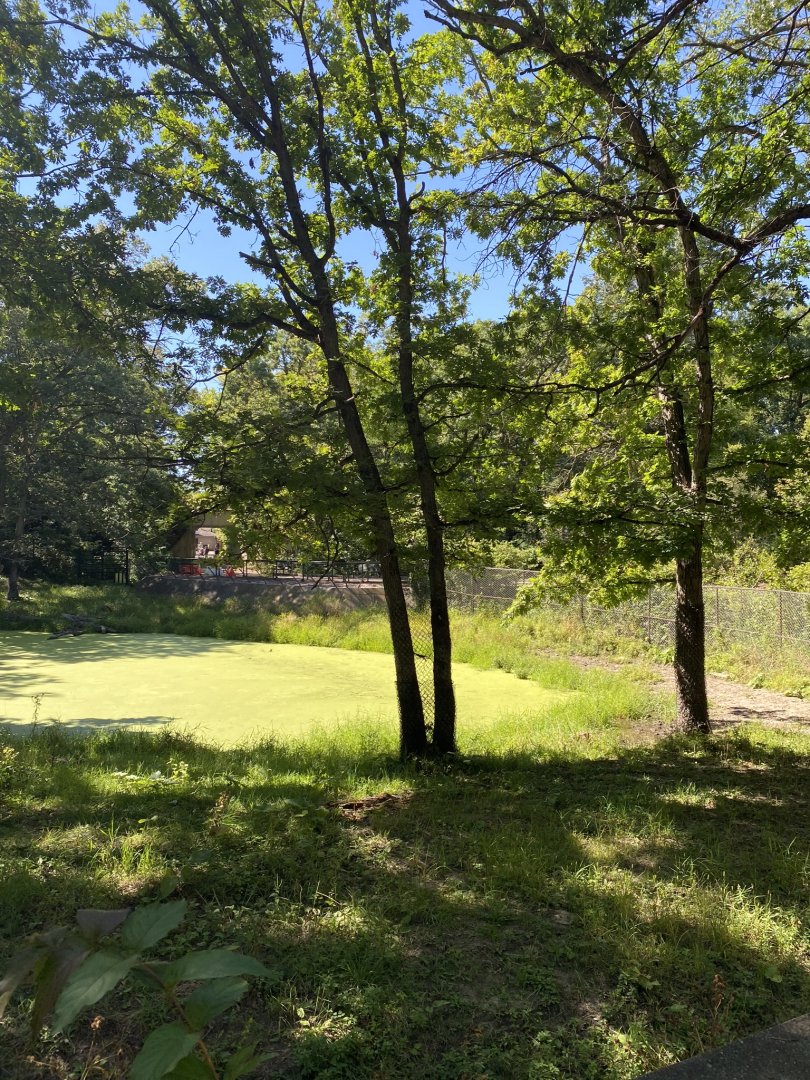 Northern trail- moose exhibit