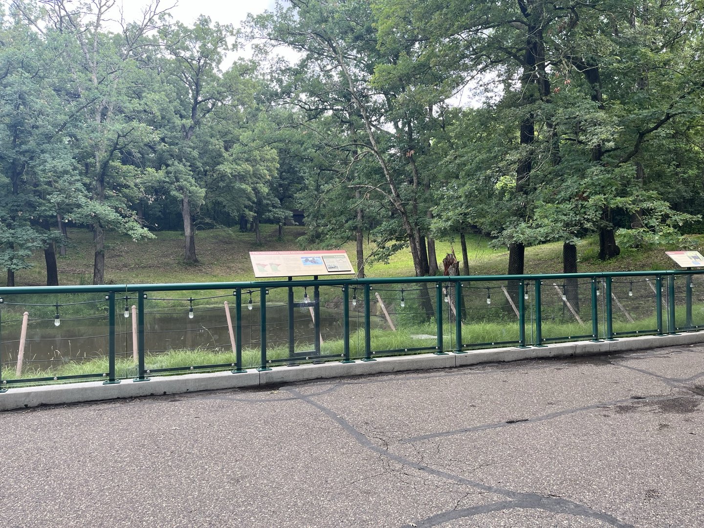 Northern Trail - Moose Exhibit