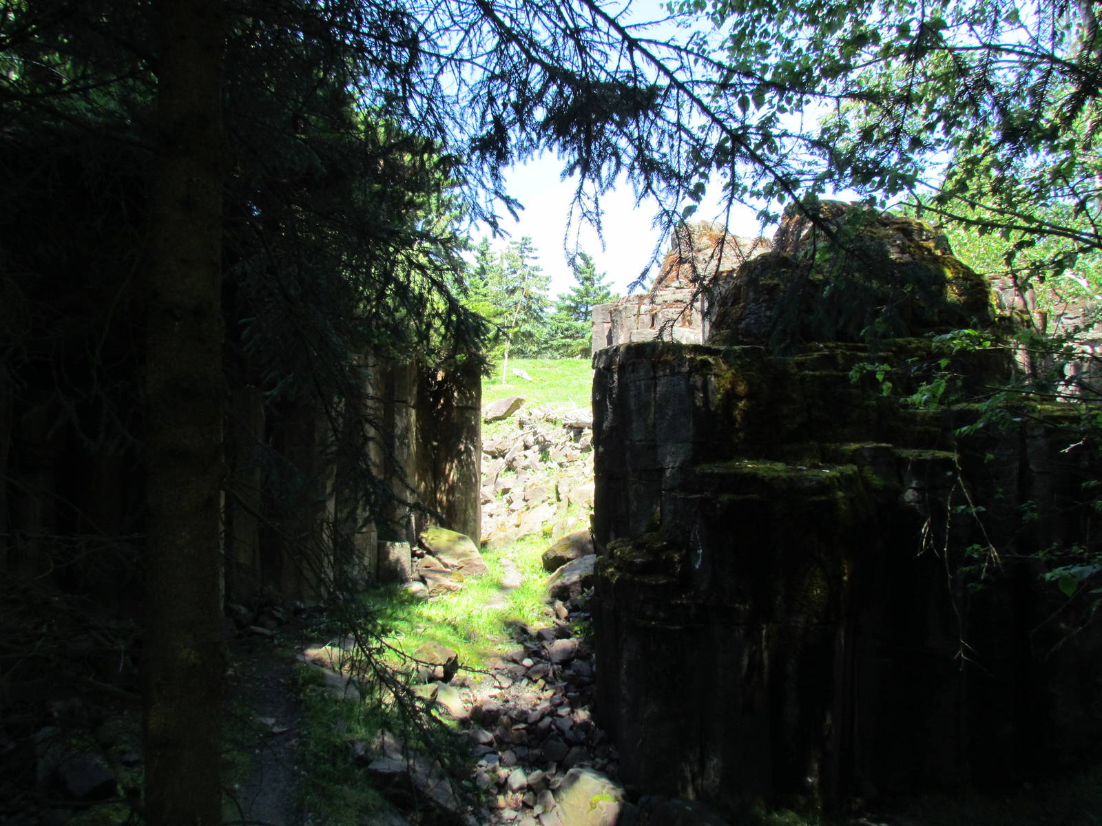 Northern Trail - Mountain Goat Exhibit