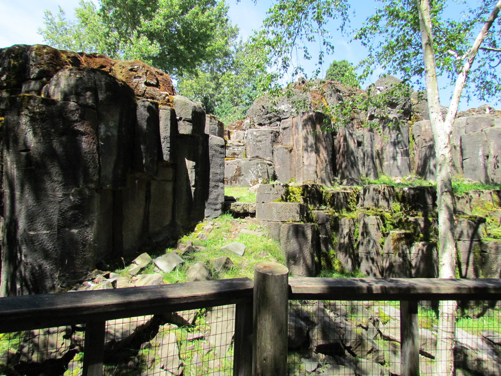 Northern Trail - Mountain Goat Exhibit
