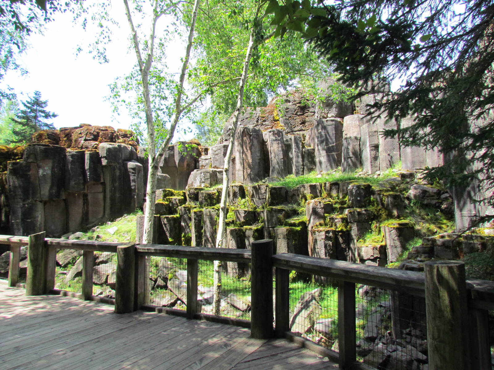 Northern Trail - Mountain Goat Exhibit