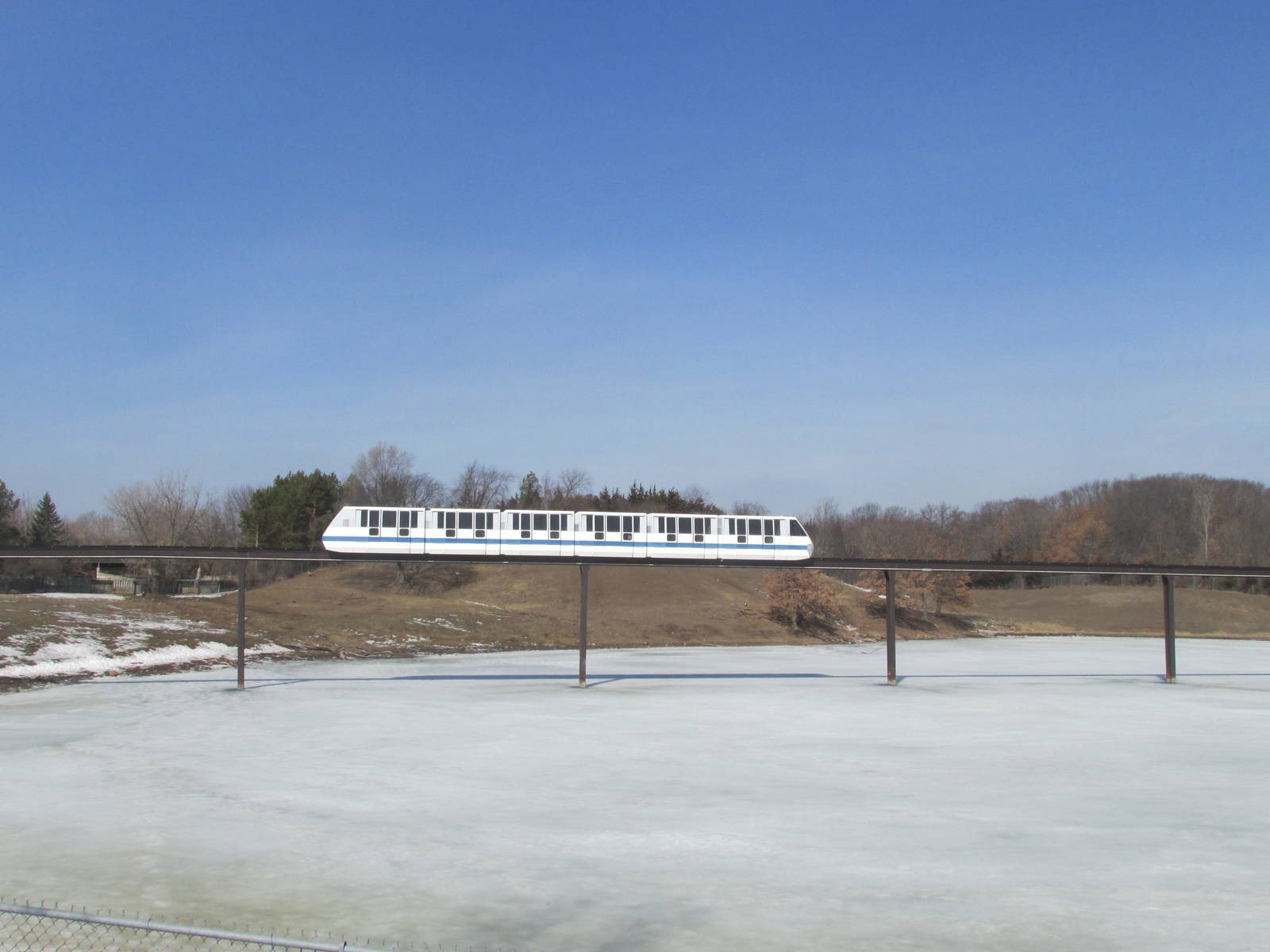 Northern Trail Musk Ox Exhibit
