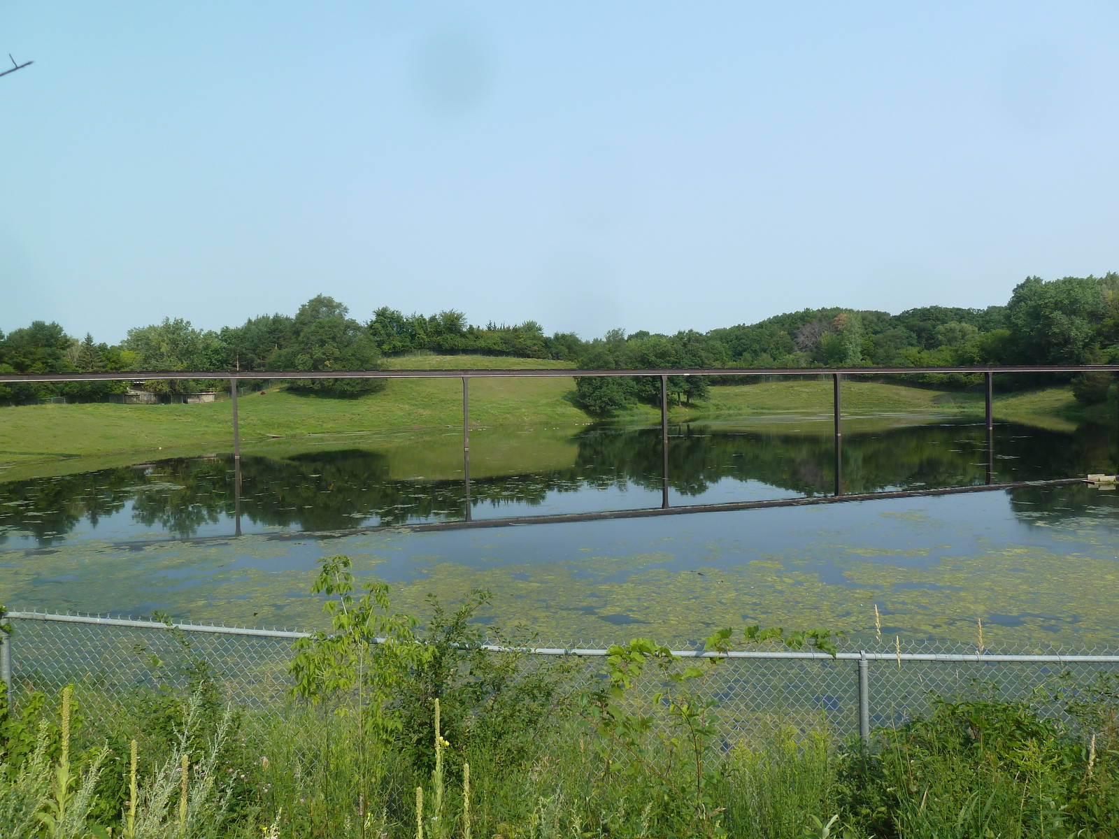 Northern Trail - Muskox Exhibit