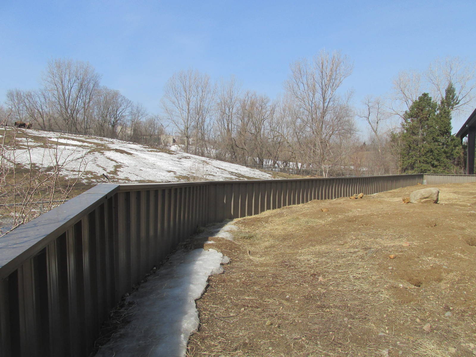Northern Trail Praire Dog Exhibit
