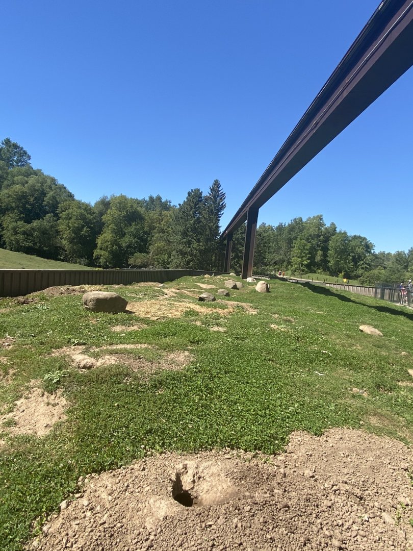 Northern trail- prairie dog exhibit