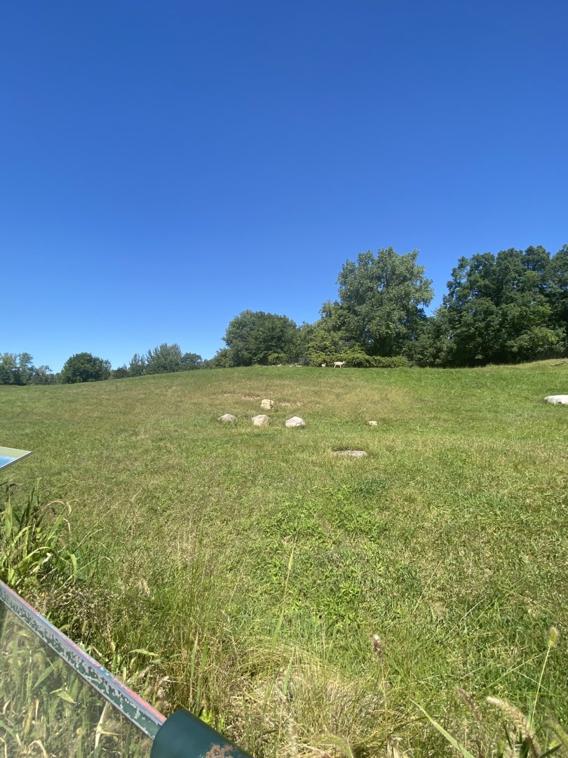 Northern trail- pronghorn exhibit