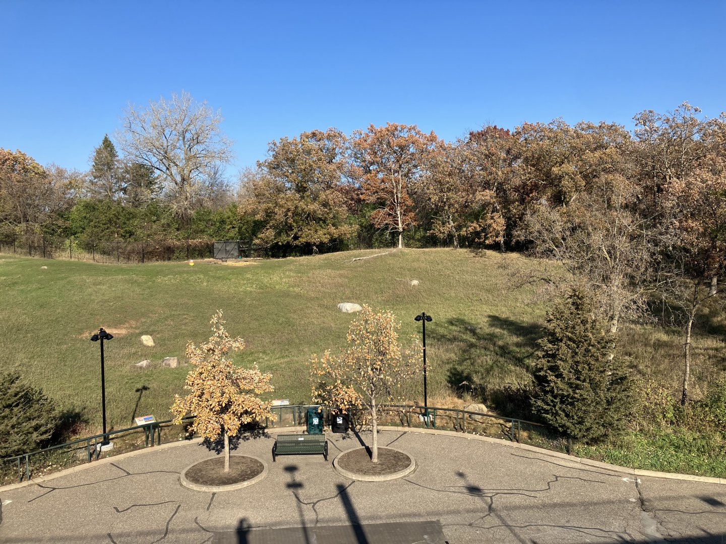 Northern Trail - Pronghorn Exhibit