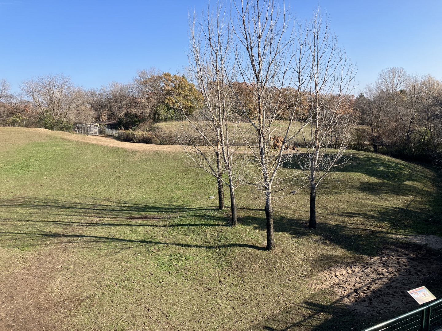 Northern Trail - Przewalski’s Horse/Bactrian Camel Exhibit