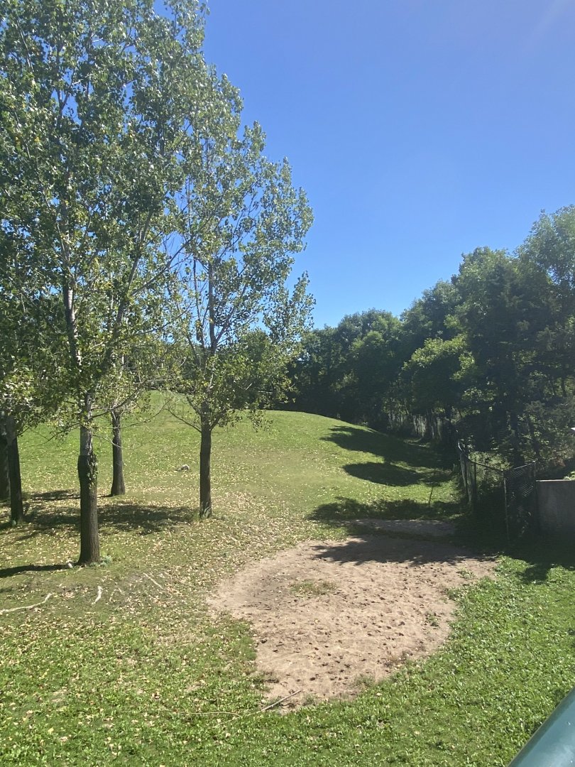 Northern trail- Przewalski’s horse exhibit
