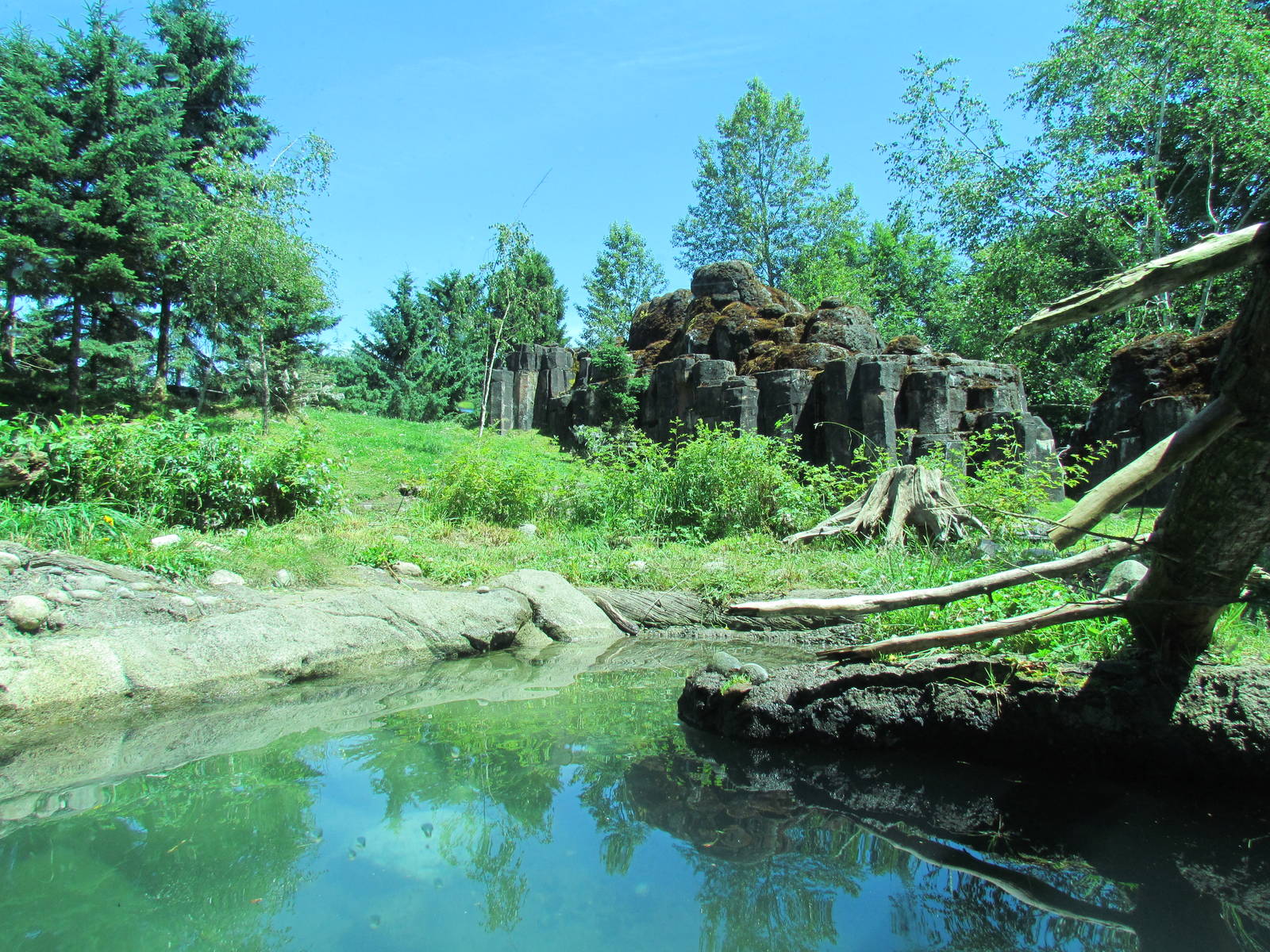 Northern Trail - River Otter Exhibit