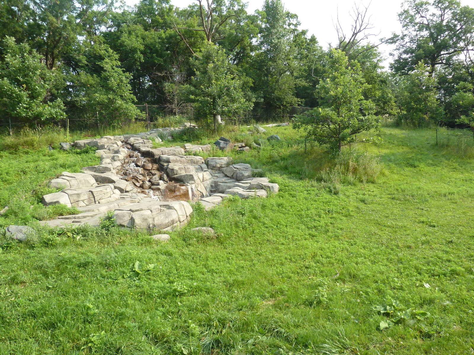 Northern Trail - Sichuan Takin Exhibit