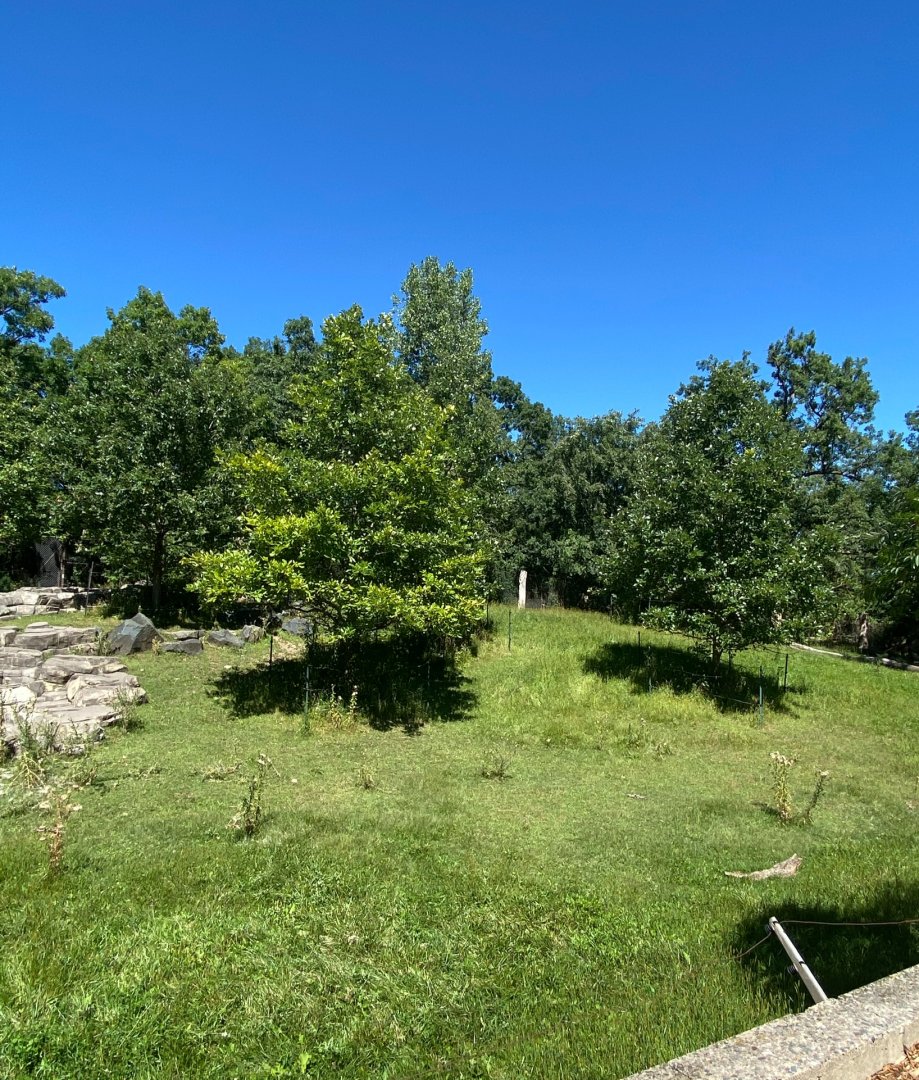 Northern trail- Sichuan takin exhibit