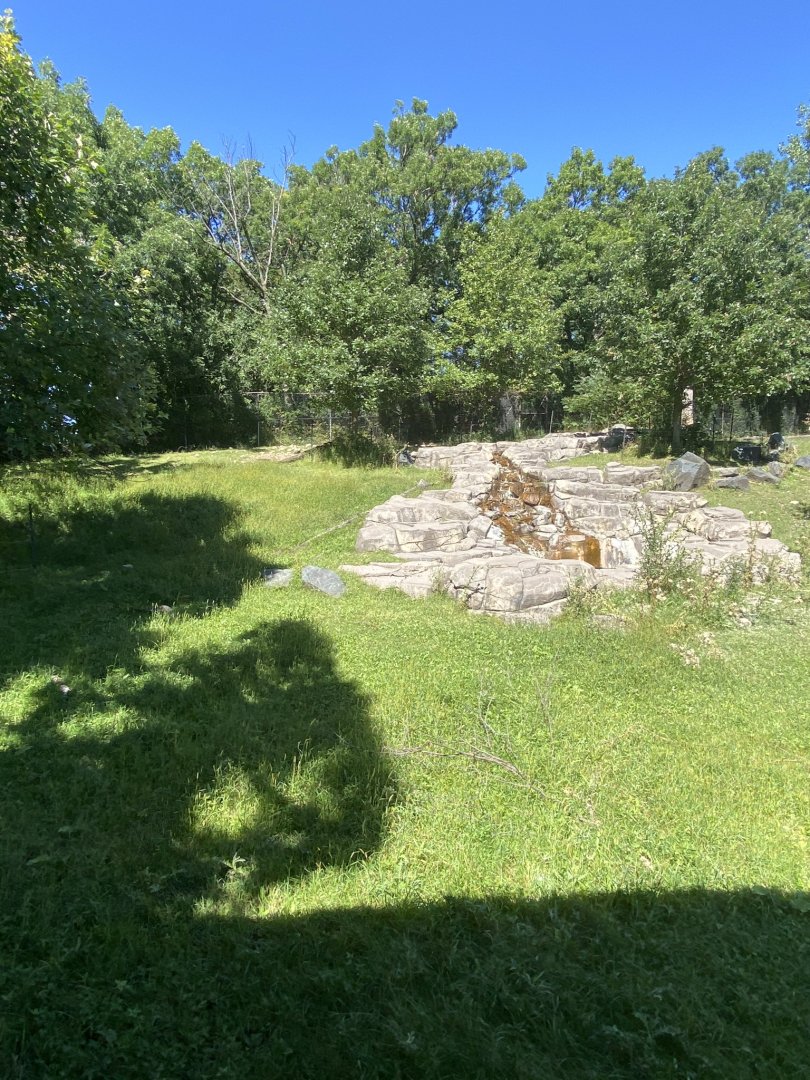Northern trail- Sichuan takin exhibit