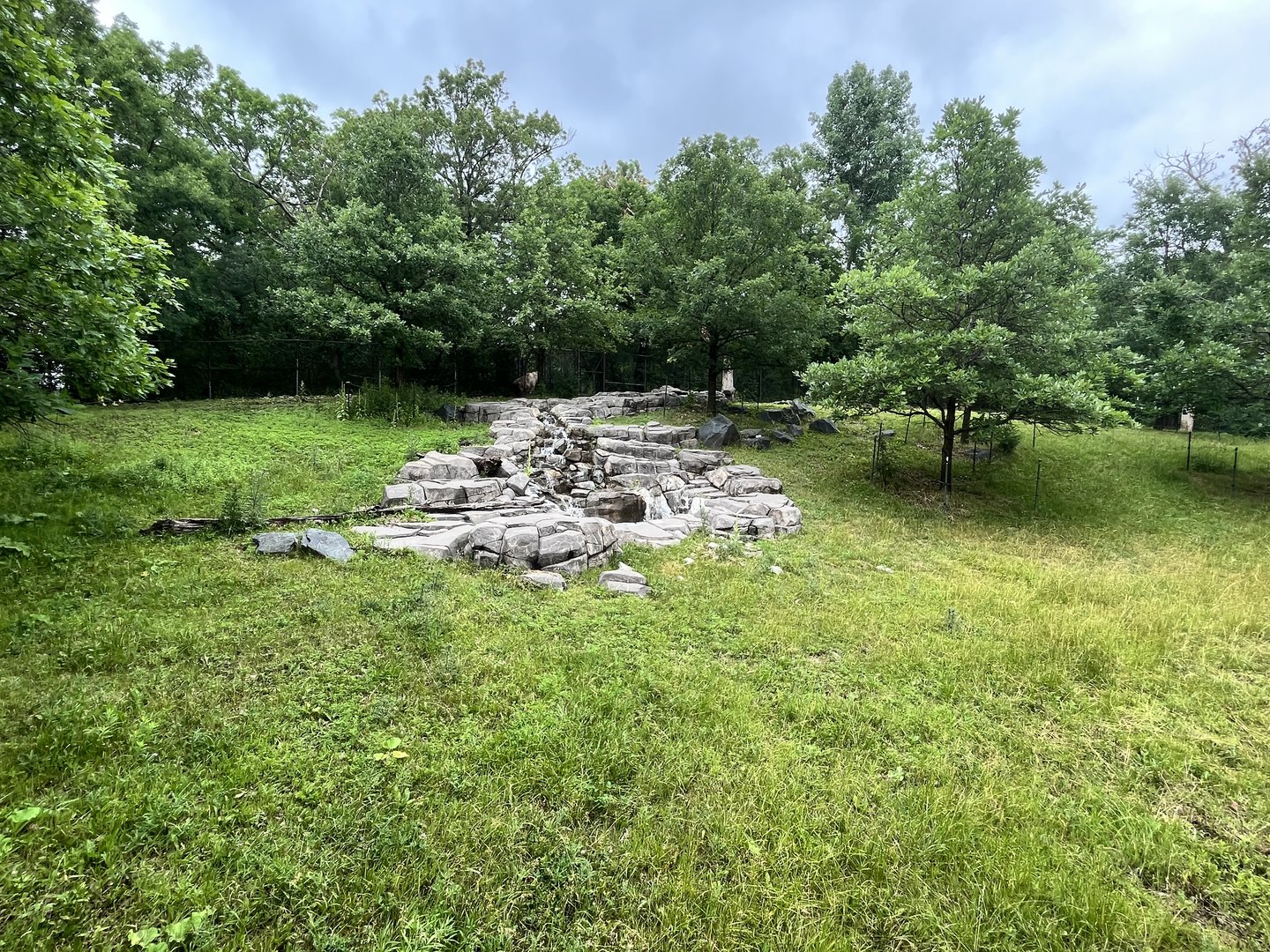 Northern Trail - Sichuan Takin Exhibit