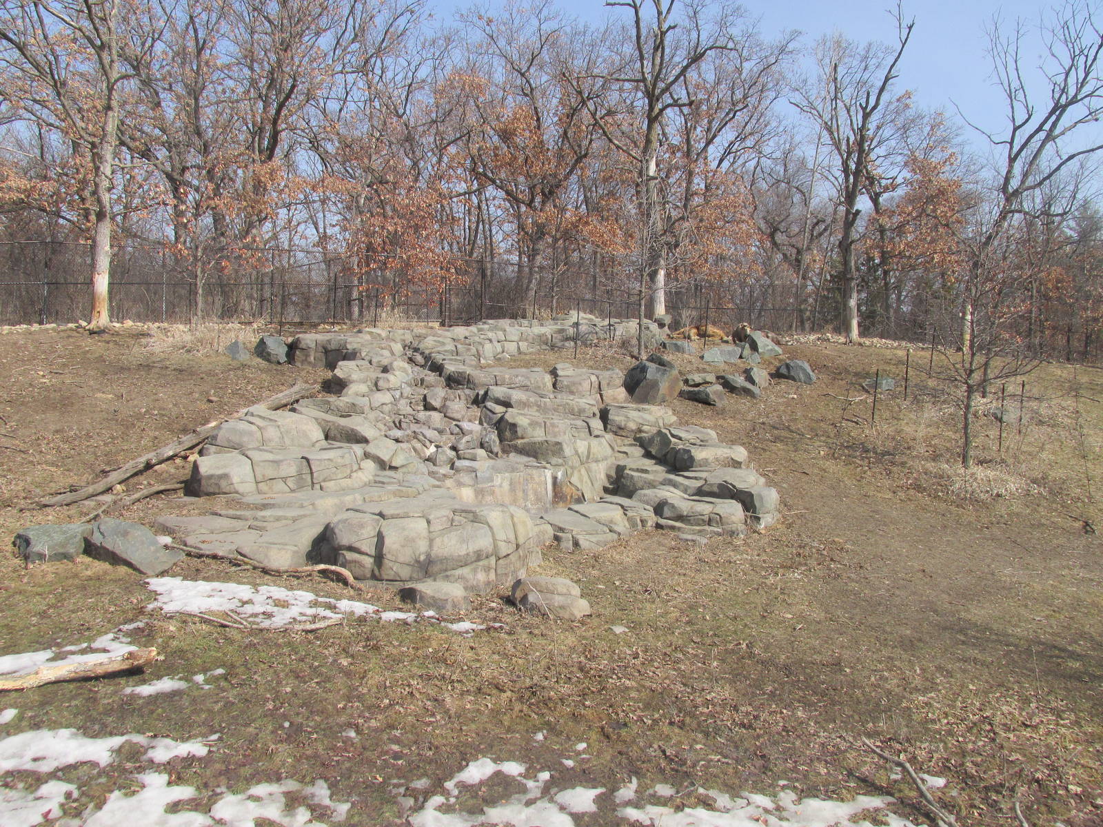 Northern Trail Takin Exhibit