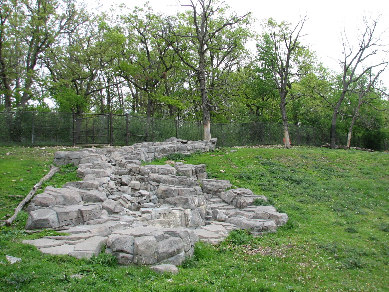 Northern Trail - Takin Exhibit