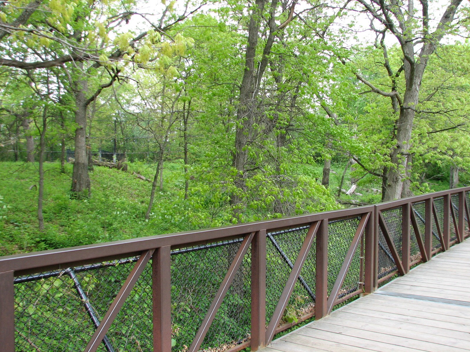Northern Trail - Tiger Base Camp - Viewing Boardwalk