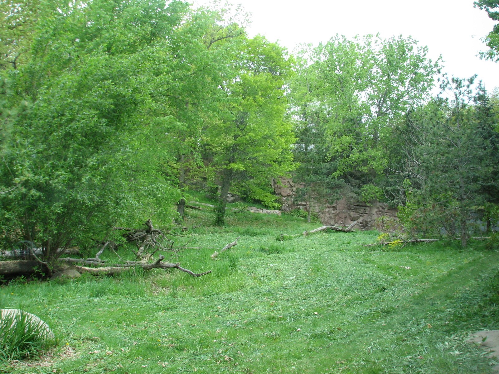 Northern Trail - Tiger Lair - Amur Tiger Exhibit