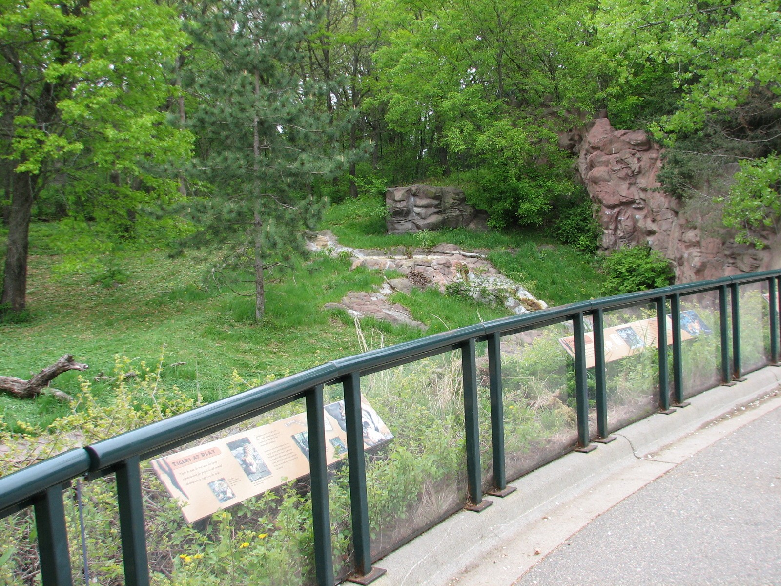 Northern Trail - Tiger Lair - Outdoor Viewing Area