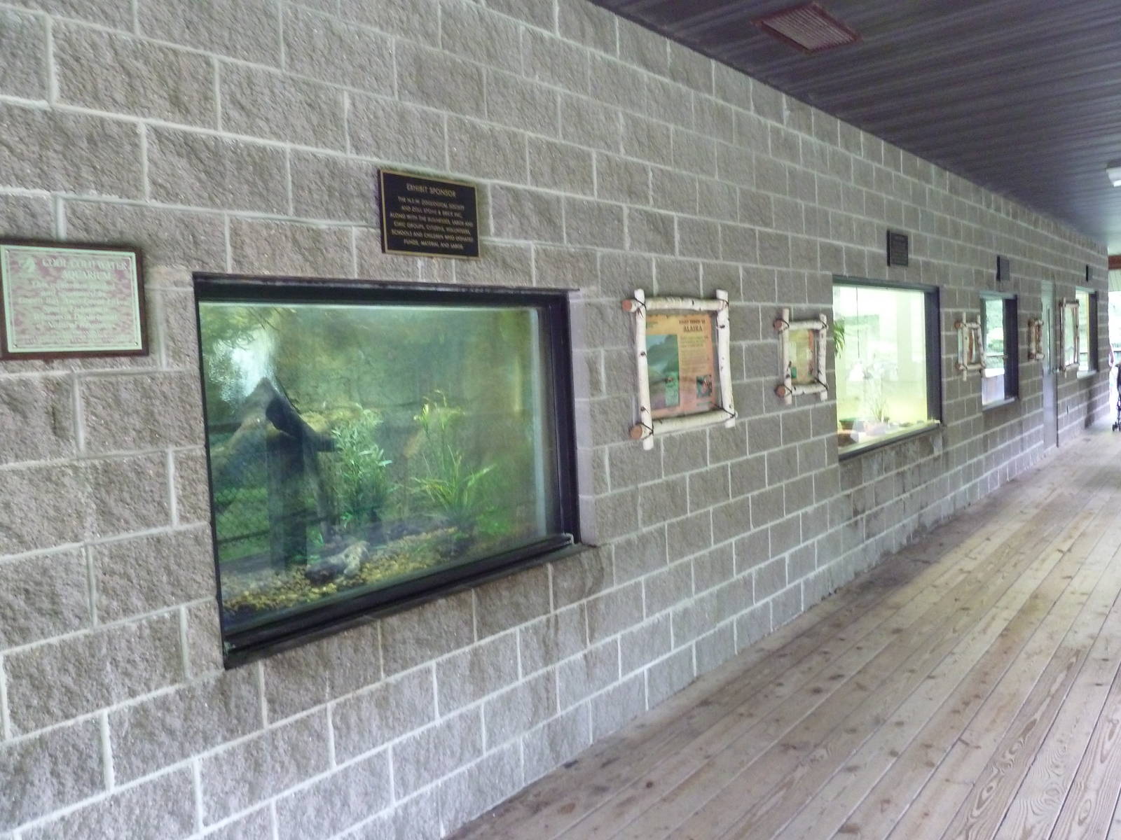 Northern Trail - Viewing Platform - Assorted Exhibits