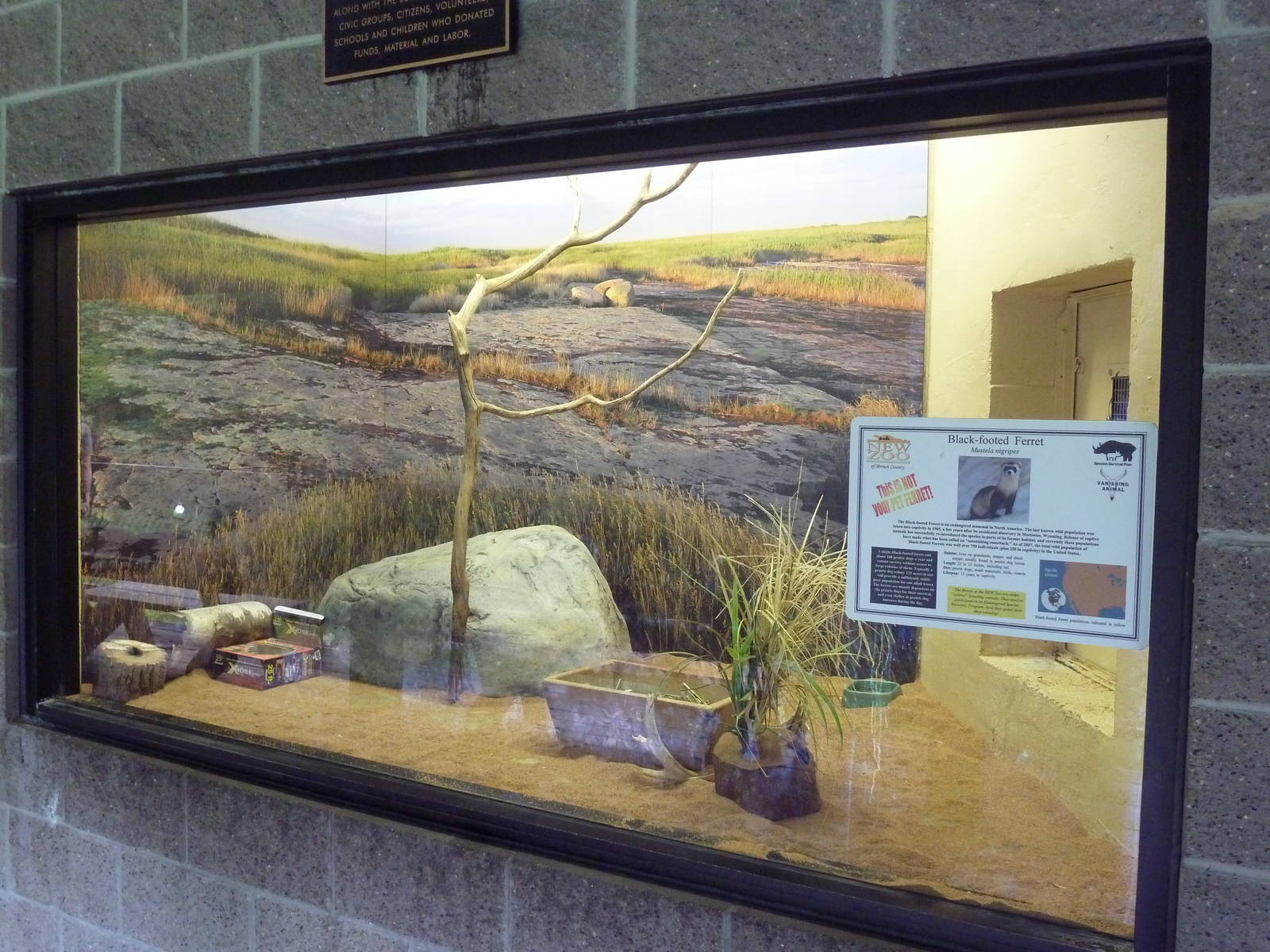 Northern Trail - Viewing Platform - Black-Footed Ferret Exhibit