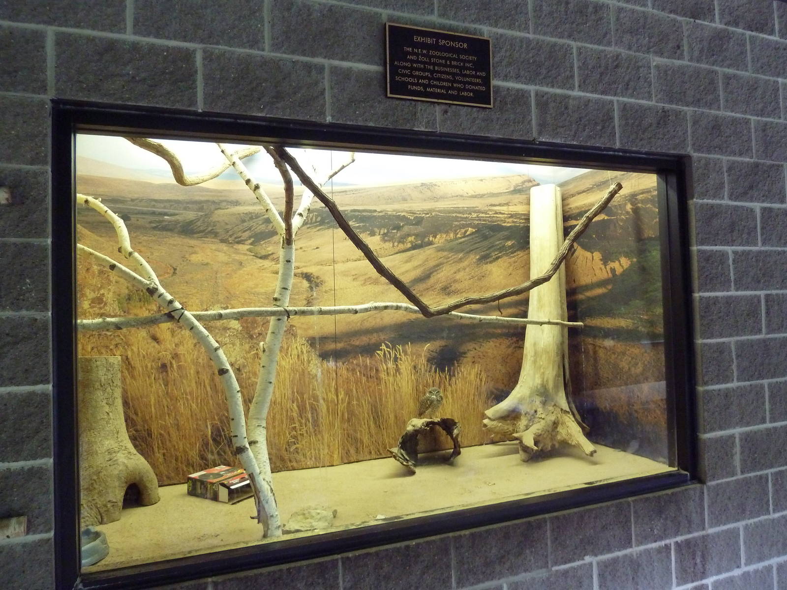 Northern Trail - Viewing Platform - Burrowing Owl Exhibit