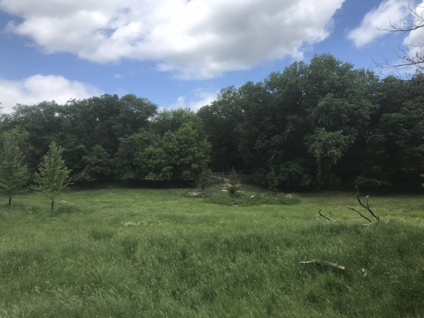 Northern Trail - Woodland Caribou Exhibit