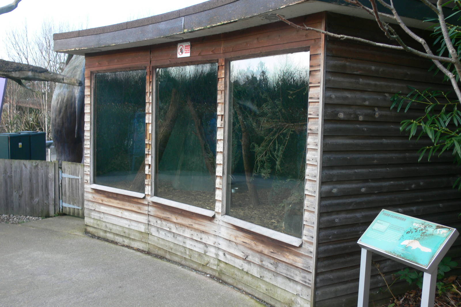 Northern Tree Shrew enclosure at Blackpool Zoo, 15/01/15