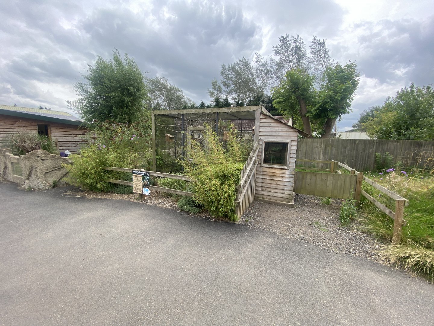 Northern tree shrew exhibit 040824