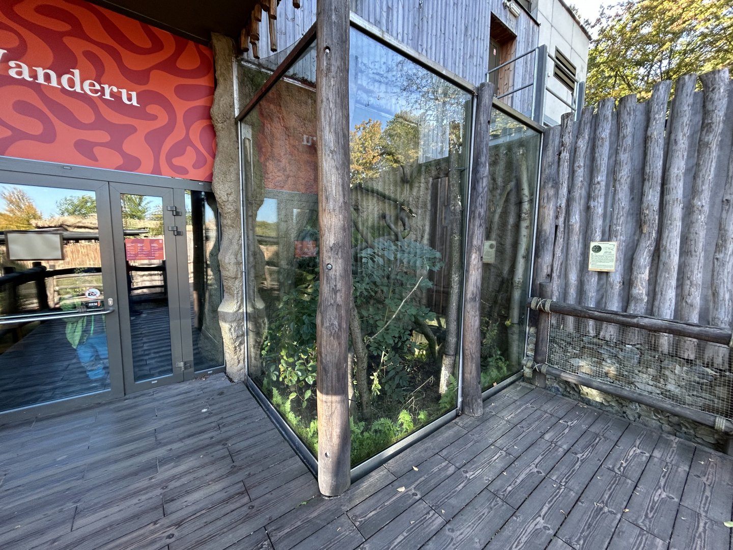 Northern Tree Shrew Exhibit - Wanderu