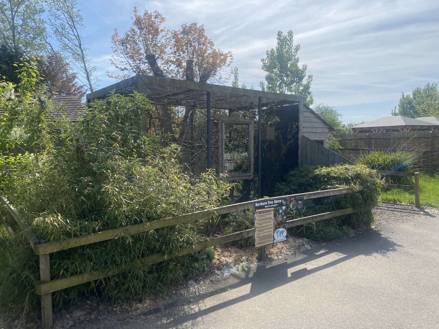Northern treeshrew exhibit 280425