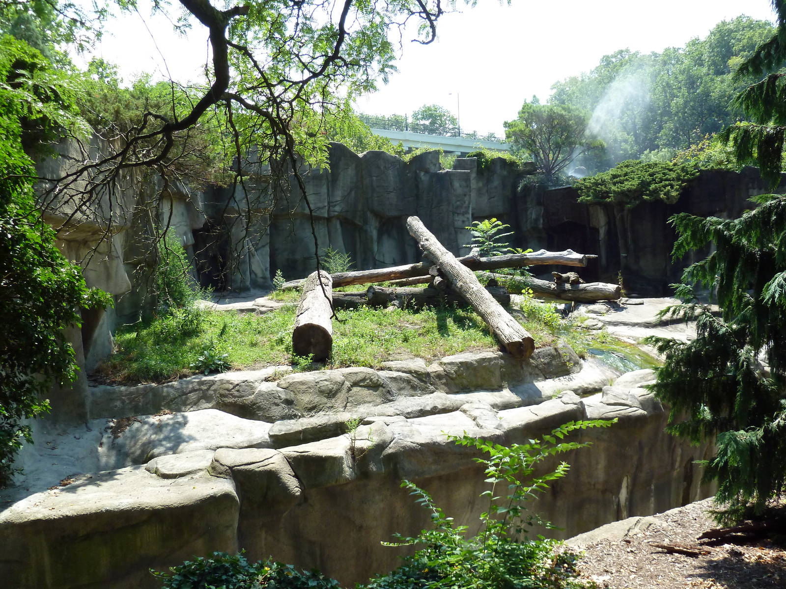 Northern Trek - American Black Bear Exhibit