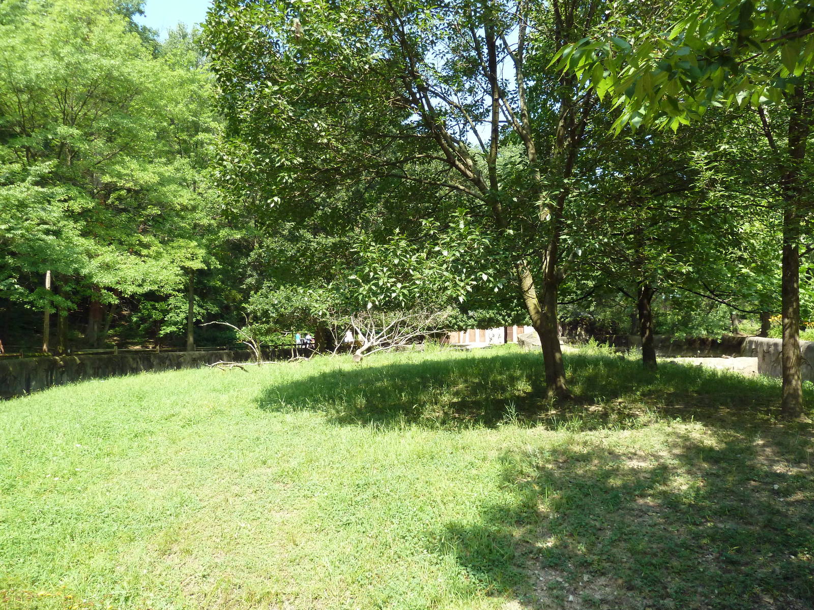 Northern Trek - Caribou Exhibit