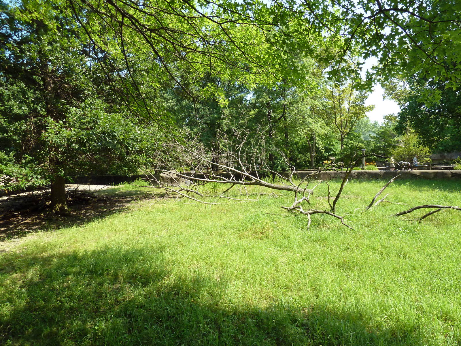 Northern Trek - Caribou Exhibit