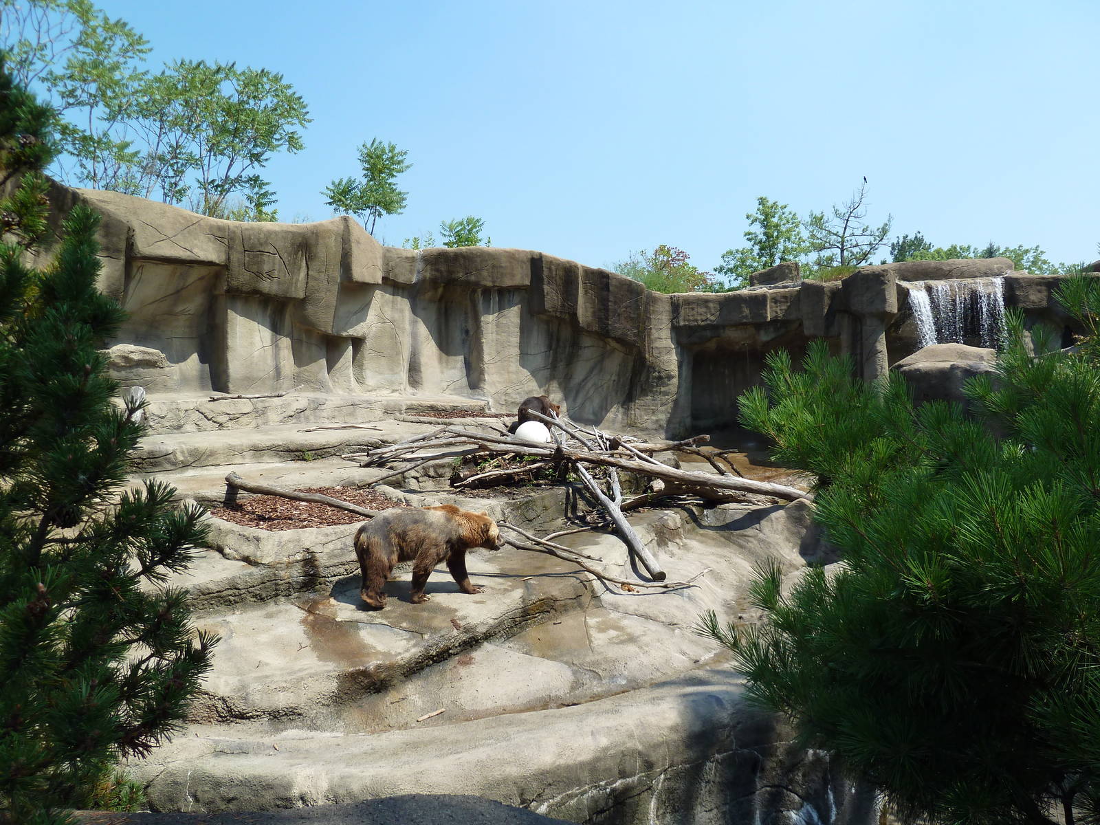 Northern Trek - Grizzly Bear Exhibit
