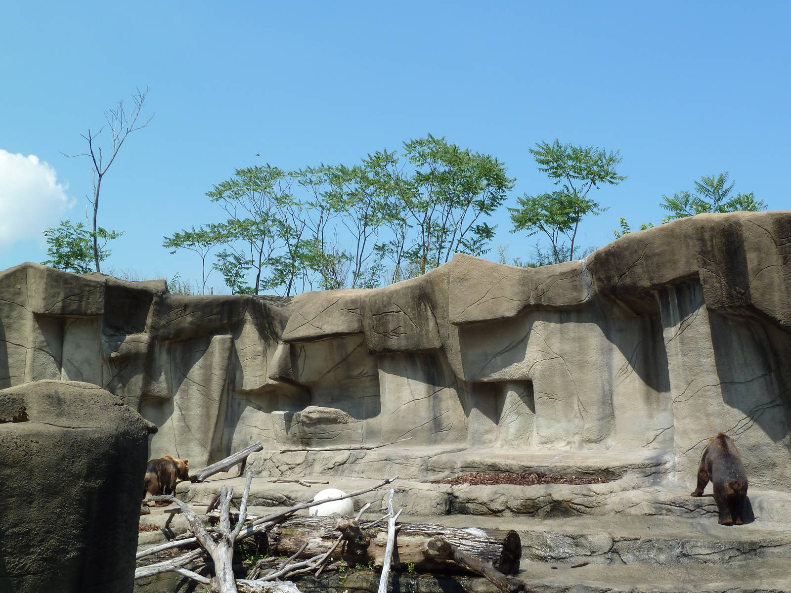 Northern Trek - Grizzly Bear Exhibit
