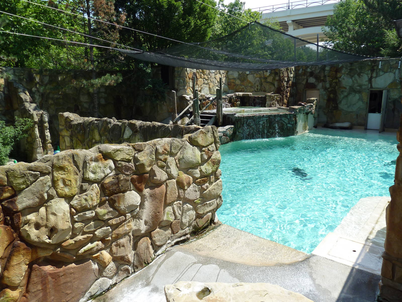 Northern Trek - Harbour Seal/California Sea Lion Exhibit