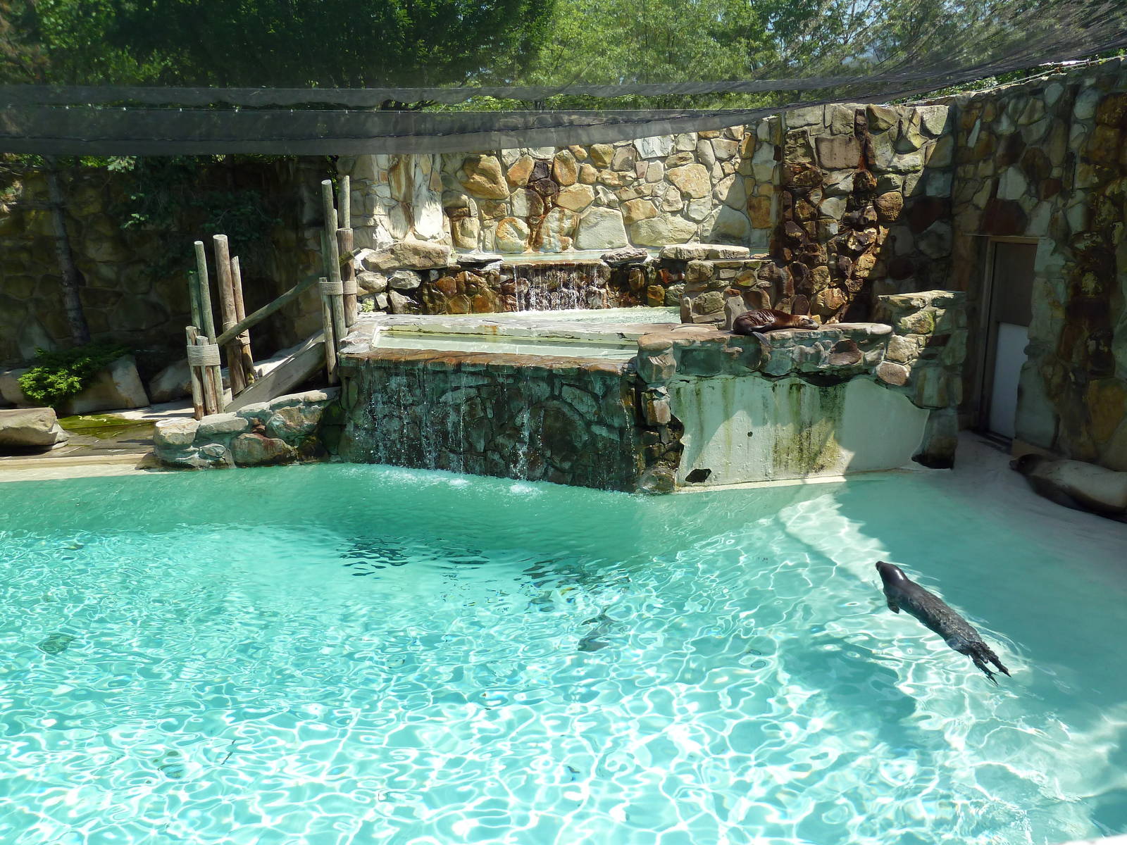 Northern Trek - Harbour Seal/California Sea Lion Exhibit