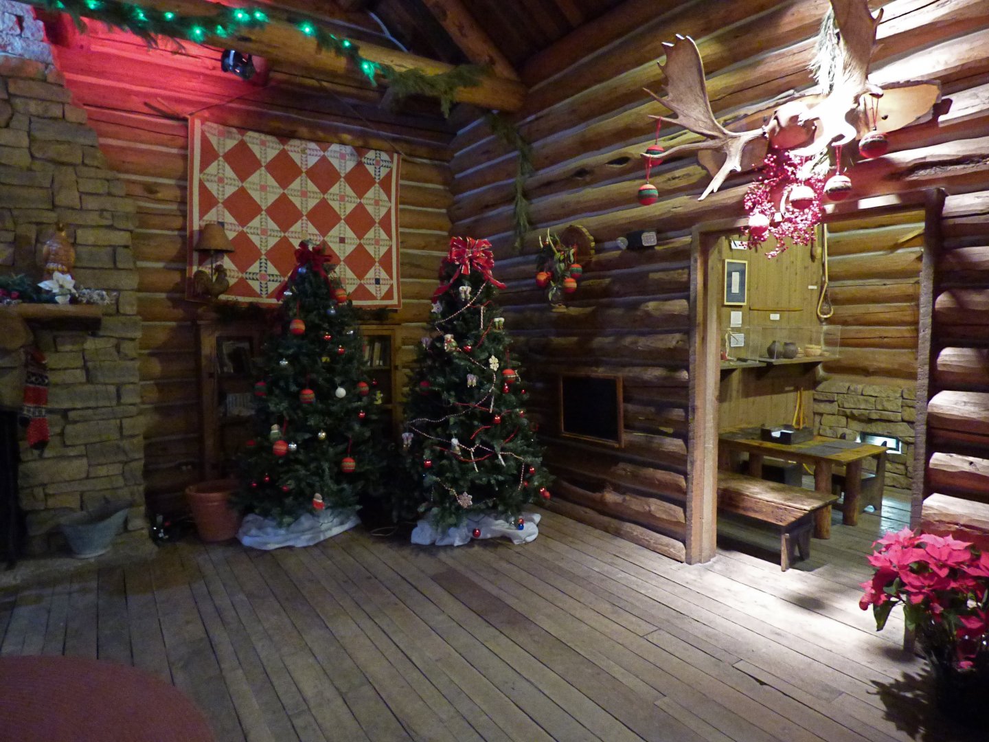 Northern Trek - Holiday Decorations in Wolf Lodge